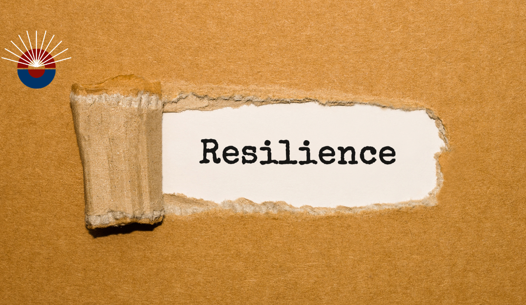 Enterprise Resilience (part two of two): 5 Questions to Shape Your Future.