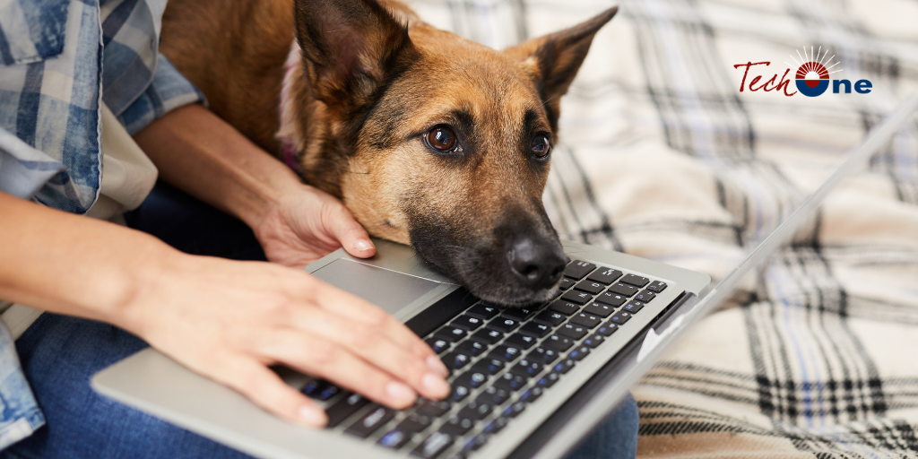 How To Work With A Dog As Your Coworker